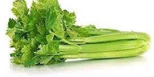 Fresh Celery
