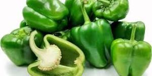 Fresh Green Pepper