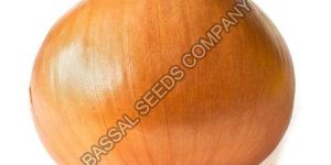 Pusa Red Fursungi Onion Seeds