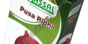 Pusa Ridhi Onion Seeds