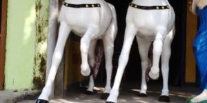 Fiberglass Horse Statue