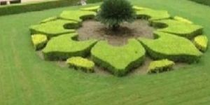 Landscape Designing Service