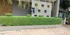 Pathways Plant Cutting Service