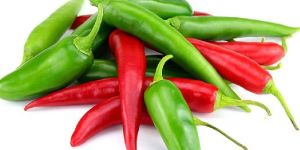 Fresh Chilli