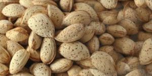 Shelled Almond