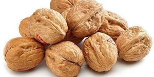 Shelled Walnuts
