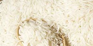 Raw Basmati Rice