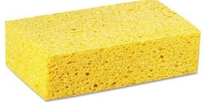 Imported Brick Sponge