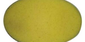 Oval Sponge