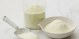 Camel Milk Powder