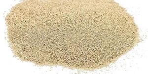 Yeast Powder