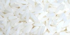 IR 36 Rice