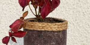 6 Inch Jute Plaits Pot Cover