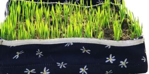 Dancing Flowers Wheat Grass Tray