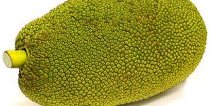 Fresh Jackfruit