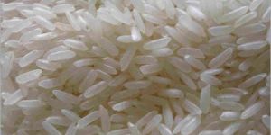 Short Grain Non Basmati Rice