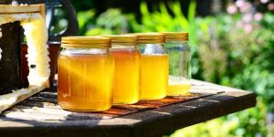 Raw Honey