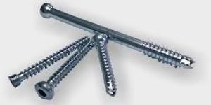 Bone Screws