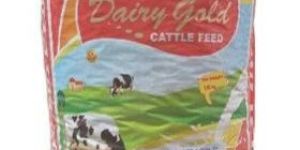 PP Printed Woven Bag