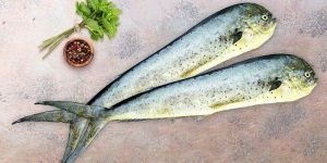 Fresh Mahi Mahi Fish