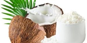 Organic Coconut Milk Powder