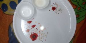 Plastic Dinner Dishes