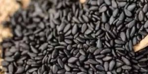 Sortex Clean Black Sesame Seeds