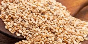 Sortex Clean Sesame Seeds