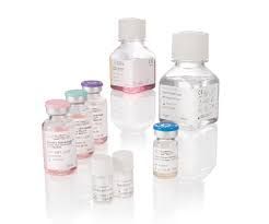 IVF Products Manufacturing Project Consultancy Services