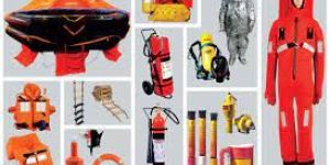 Project Report for Starting Ship Schandling Business