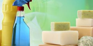 Soaps and Detergents Making Project Consultancy Services