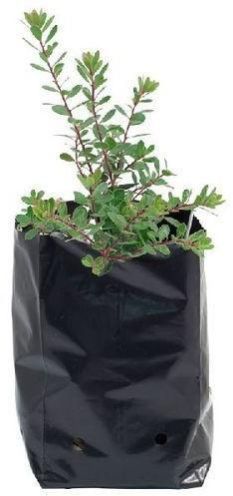 UV Stabilized Nursery Bags