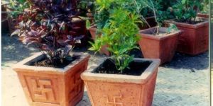 Swastik Planter