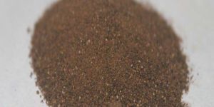 Coleus Forskohlii Root Extract