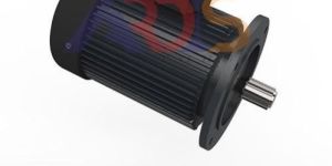 Paddle Wheel Aerator Motor