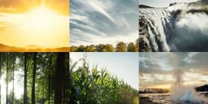 Renewable Energy Plant