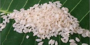 White Masoori Rice