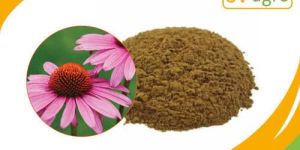 Echinacea Extract