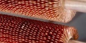 Wire Wound Oil Coolers