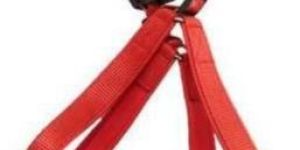 Pet Harness