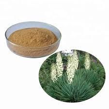 Yucca Powder