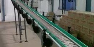 Stainless Steel Chain Conveyor