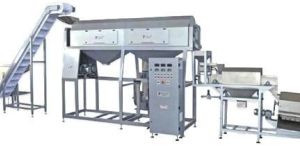 Cashew Peeling Machine