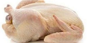 Broiler Frozen Chicken