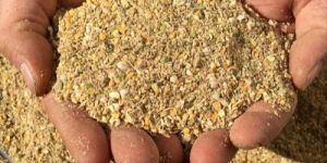 Chicken Starter Feed