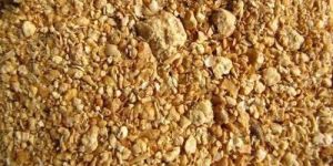 Poultry Layer Feed