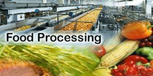 Food Processing Sector