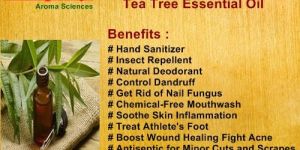 Tea Tree Aroma Oil