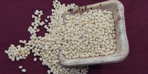 White Urad