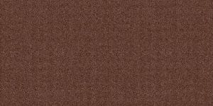 S and P Series Digital Glazed Vitrified Tiles